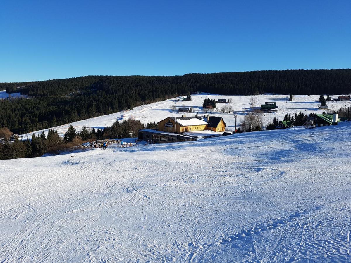 Viktorka